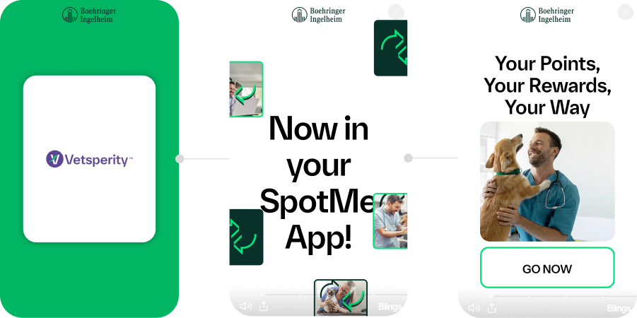 How Boehringer Ingelheim Launched & Scaled "Vetsperity" Loyalty Program 2 frame 39065